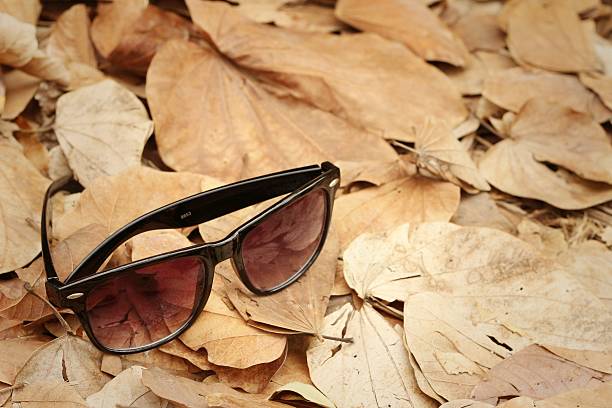 istock Sunglasses on a background of brown leaves. 474222590