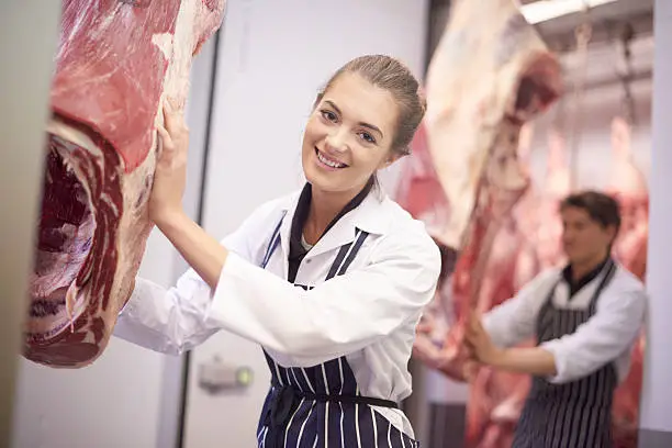 two young butcher apprentices  move beef from the cold store in a commercial butchers. The female butcher smiles to camera . They are wearing chef's whites and a striped blue aprons.
