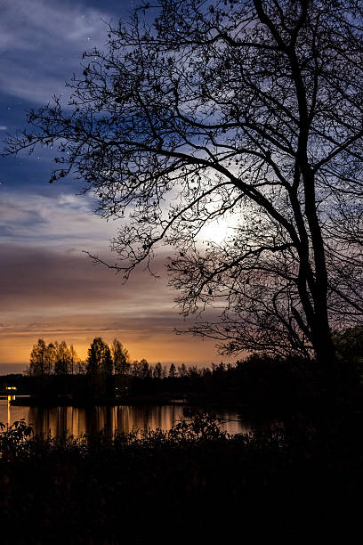 istock Night landscape and cloudy starry sky 474224322