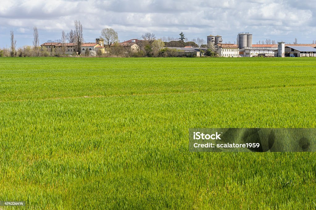 Paisagem agrícolas - Foto de stock de 2015 royalty-free