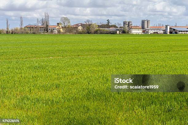 Foto de Paisagem Agrícolas e mais fotos de stock de 2015 - 2015, Agricultura, Antigo