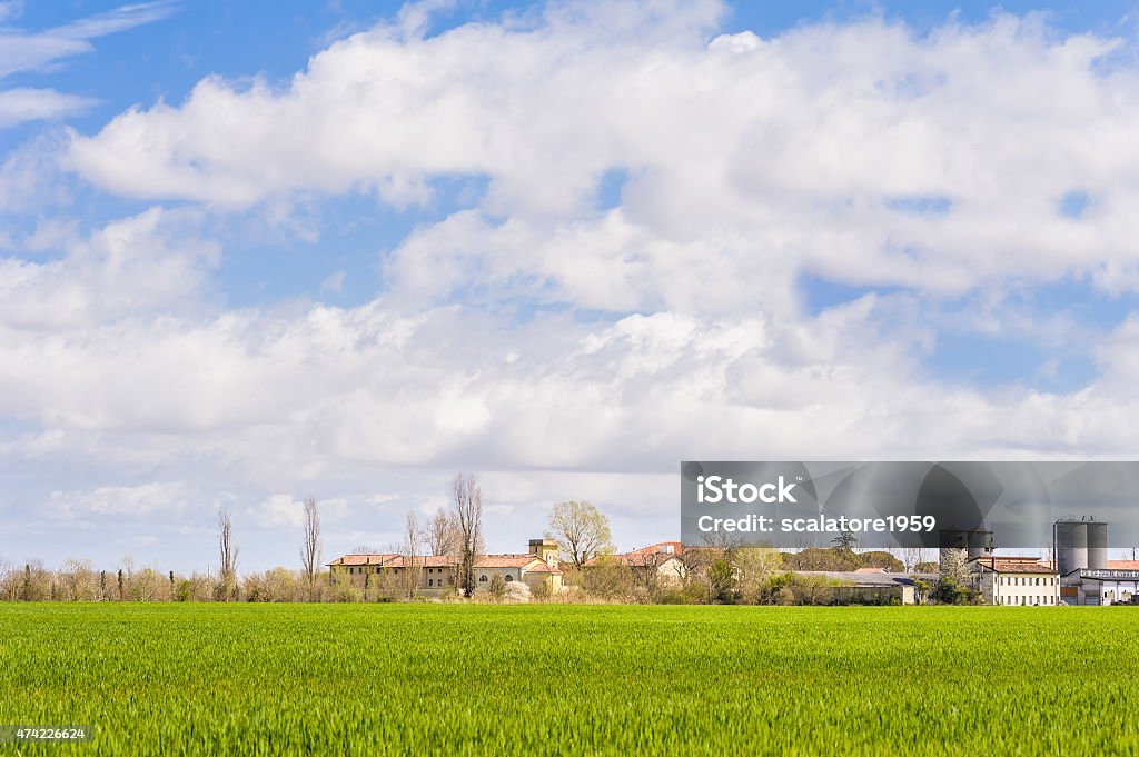 Paisagem agrícolas - Foto de stock de 2015 royalty-free