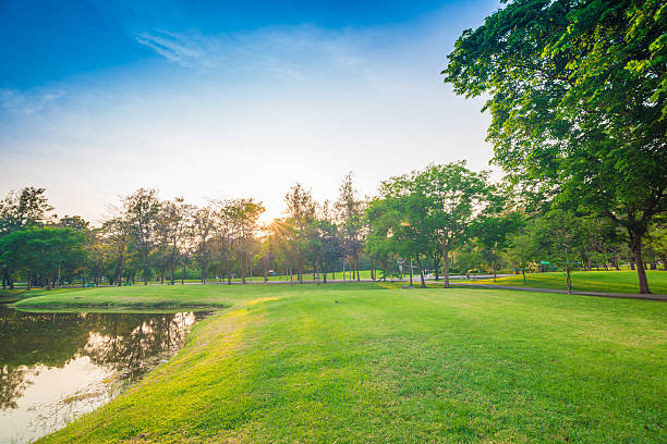 istock beautiful green park with sun light 474226690