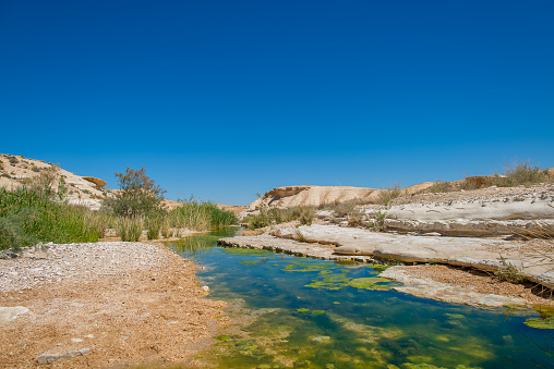 Water in the desert of Negev, Israel