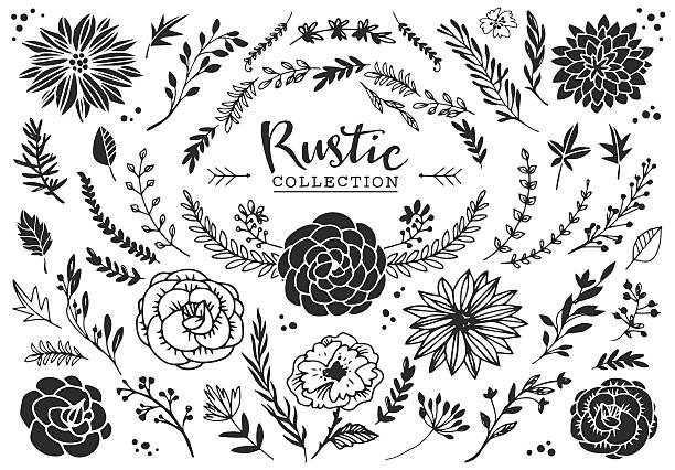 Rustico decorativo collezione di piante e fiori. - illustrazione arte vettoriale