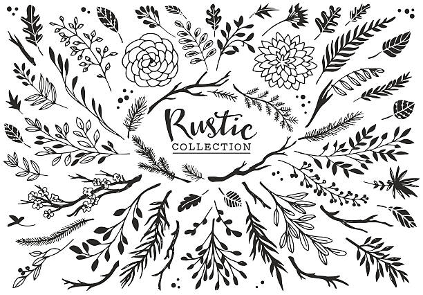 Rustico decorativo collezione di piante e fiori. - illustrazione arte vettoriale