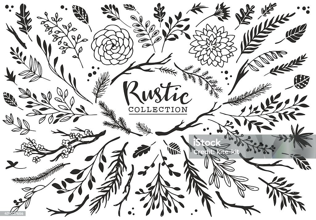 Rustic decorative plants and flowers collection. Hand drawn vintage vector design elements. Branch - Plant Part stock vector