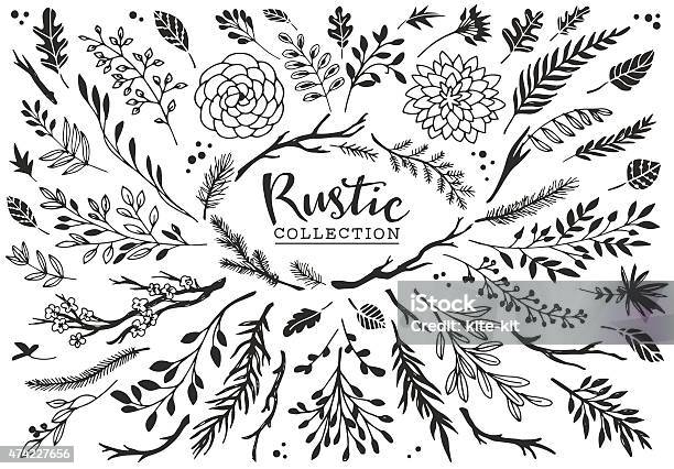 Rustic Decorative Plants And Flowers Collection Stock Illustration - Download Image Now - Branch - Plant Part, Leaf, Vector