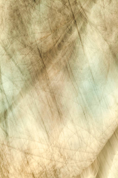 istock blurred motion in nature gives a harmonic background 474228250