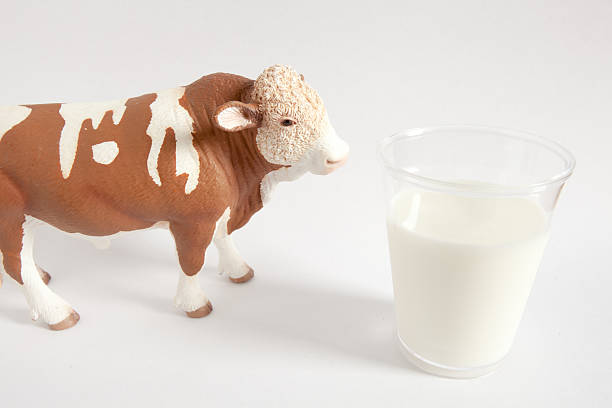 istock Fresh milk in the farm 474228910