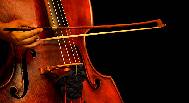 istock vintage double bass / cello 474229670