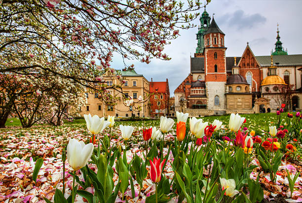 Wawel Hill From Wawel Hill, Krakow krakow stock pictures, royalty-free photos & images
