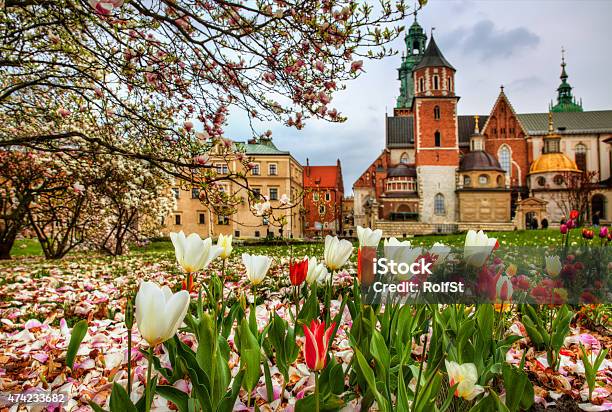 Wawel Hill Stock Photo - Download Image Now - Krakow, Springtime, Poland