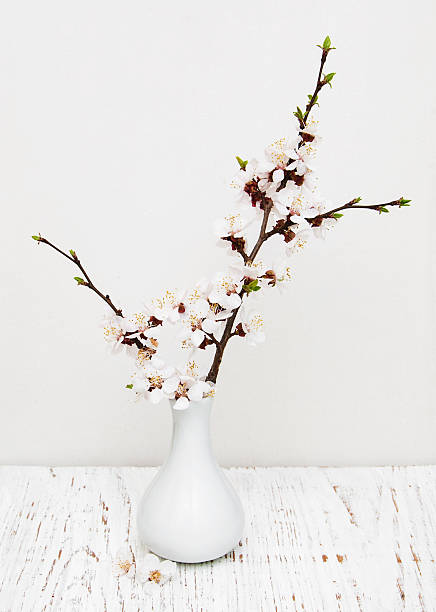 istock vase with spring blossom on wood background 474234962