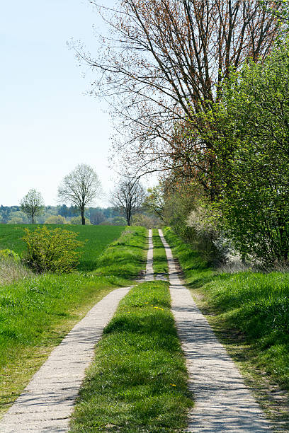 istock country road between trees and green fields 474235078