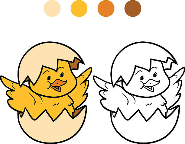 ilustrações, clipart, desenhos animados e ícones de livro de colorir (chick e ovo) - eggs new life shape animals and pets