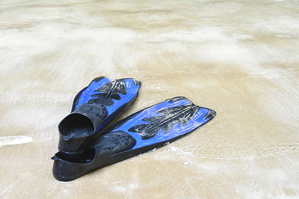 istock Blue swim fins on the beach 474244040