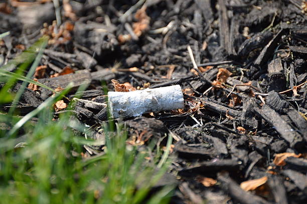 Cigarette Filter Discarded, weathered cigarette filter in bed of mulch with grass in foreground corner. jtmcdaniel stock pictures, royalty-free photos & images