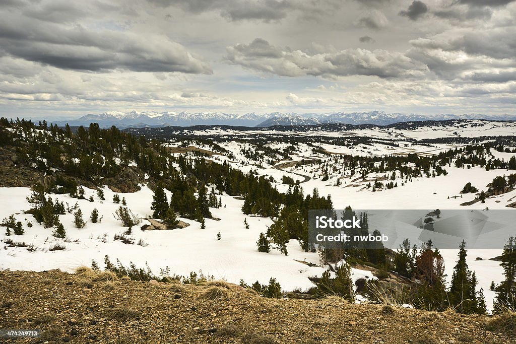 Widok z Beartooth Highway - Zbiór zdjęć royalty-free (Aspiracje)