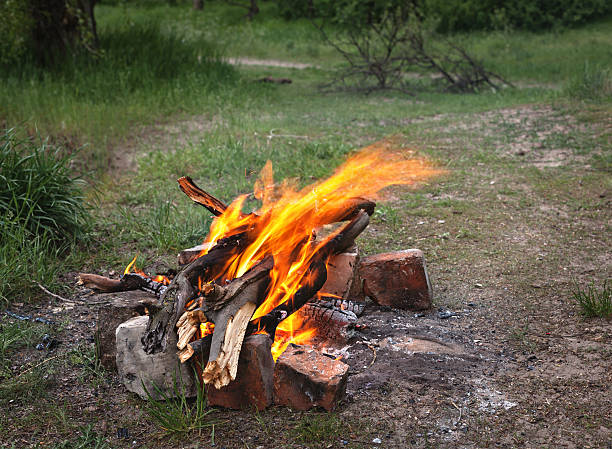 istock Bonfire in the spring forest. coals of fire 474250854