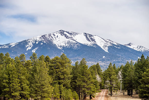 landscape with Humphreys Peak Tallest in Arizona landscape with Humphreys Peak Tallest in Arizona coconino national forest stock pictures, royalty-free photos & images