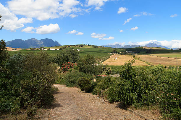 Stellenbosch hills A view of hills near Stellenbosch, South Africa stellenbosch stock pictures, royalty-free photos & images