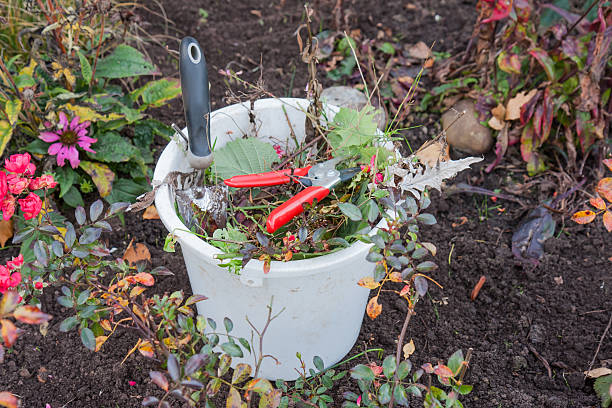 Bucket with garden tools and garden waste Plastic bucket with garden tools and garden waste trowel gardening shovel gardening equipment stock pictures, royalty-free photos & images