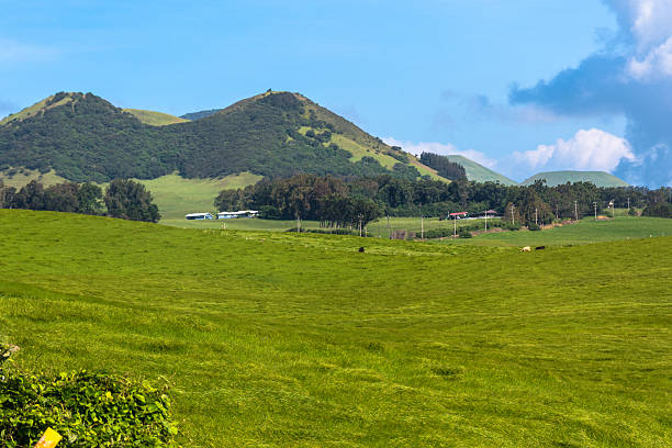 istock Fields along Kohala Mountain Road, Big Island 474255172