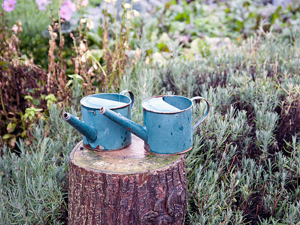 Blue Watering Cans stock photo