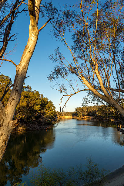 istock On the Murray River early morning 474260728