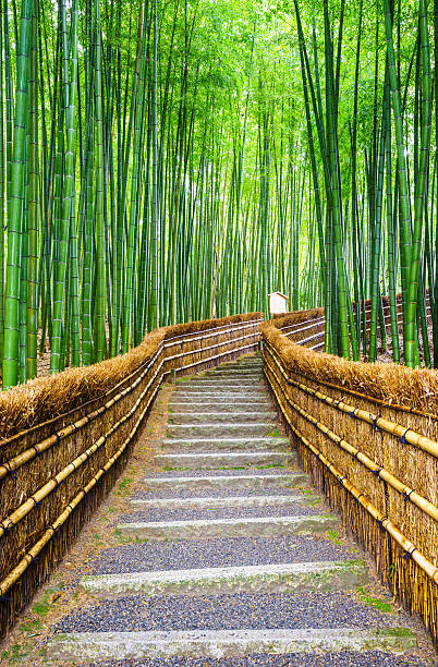 istock Path to bamboo forest, Arashiyama, Kyoto, Japan 474263552