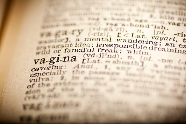 istock Old dictionary open on the word vagina 474264160