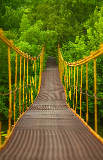 istock metal suspension bridge over the river 474265455