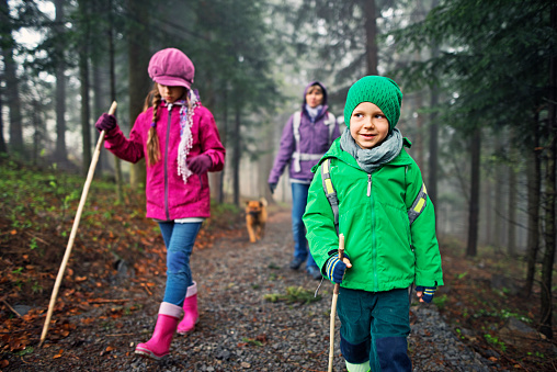 Little boy, sister, mother and dog are hiking through a cold misty forest. Everybody (but the dog) is wearing backpacks and jackets. 