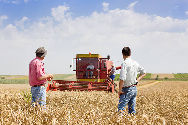 istock Business partners on wheat field 474267114