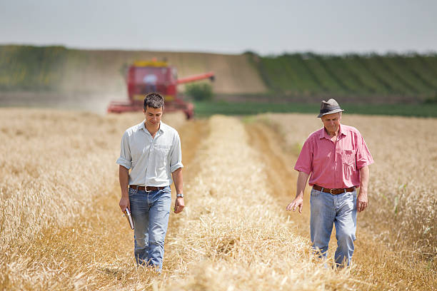 istock Agriculture partners on wheat harvest 474267122