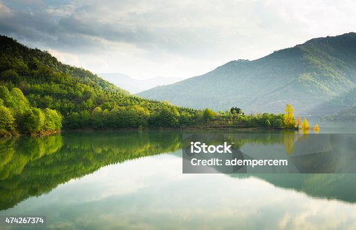 istock Reflections on a Lake 474267374