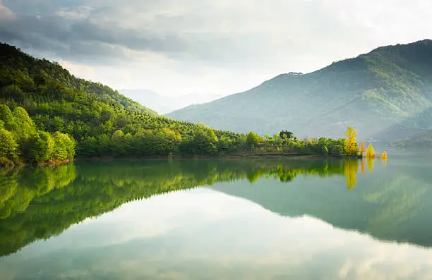 Reflections on a Lake