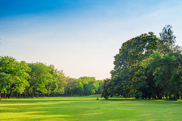istock beautiful green park with sun light 474272656