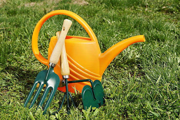 istock Watering can and gardening tools on green grass 474275068