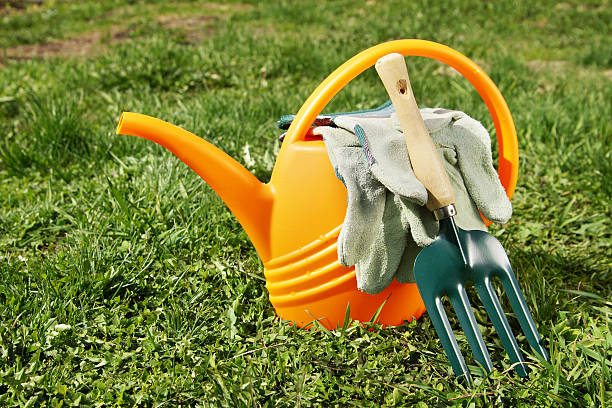 istock Watering can and gardening tools on green grass 474275168