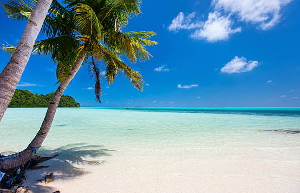 Beautiful tropical beach at exotic island in Pacific Beautiful tropical beach with palm trees, white sand, turquoise ocean water and blue sky at Palau palau beach stock pictures, royalty-free photos & images