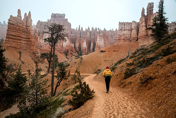istock Hiking in Bryce Canyon National Park 474280609