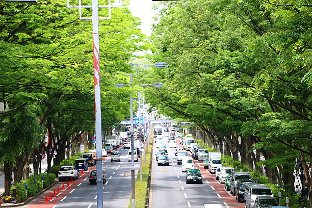die neue grüne blätter omotesando - harajuku district stock-fotos und bilder
