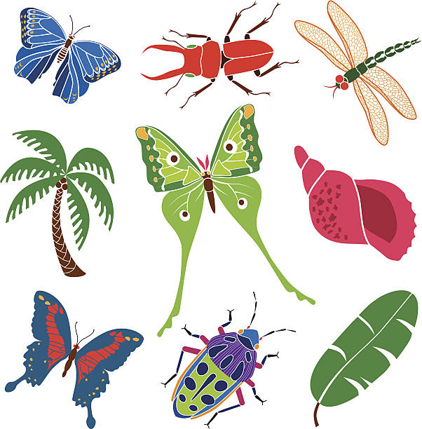 열대 곤충류 및 식물에 - 북미긴꼬리산누에나방 stock illustrations
