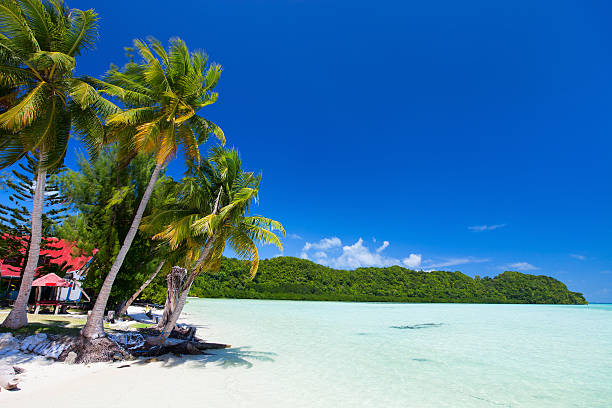 istock Beautiful tropical beach at exotic island in Pacific 474291434