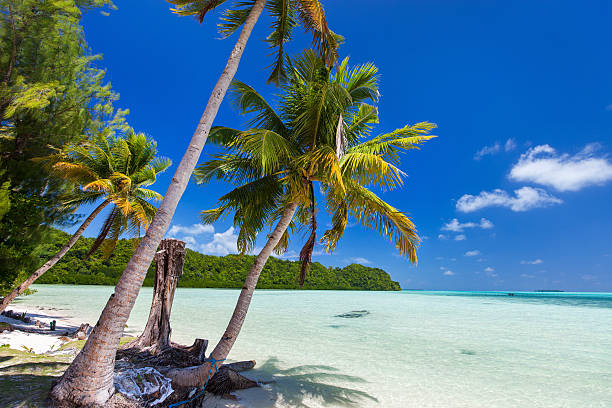 istock Beautiful tropical beach at exotic island in Pacific 474291436