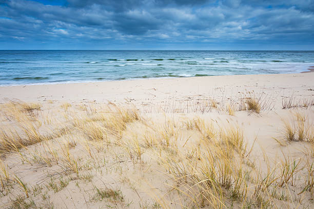 istock Beautiful view on Baltic sandy coast 474291532