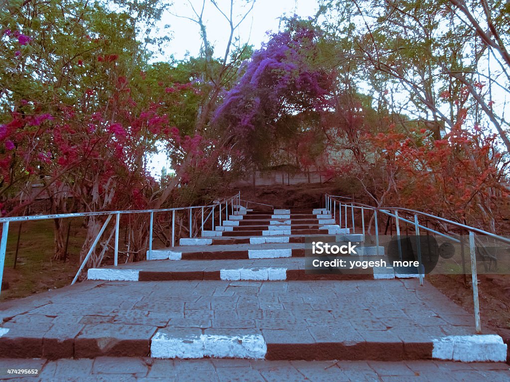 Steps towards Parvati with Bougainvillea on both sides Steps leading towards Parvati with Bougainvillea, Nyctaginaceae on both sides,  Pune, Maharashtra, India 2015 Stock Photo