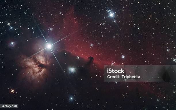 Horsehead And Flame Nebula Stok Fotoğraflar & Atbaşı Bulutsusu‘nin Daha Fazla Resimleri - Atbaşı Bulutsusu, Orion Bulutsusu, Takımyıldız